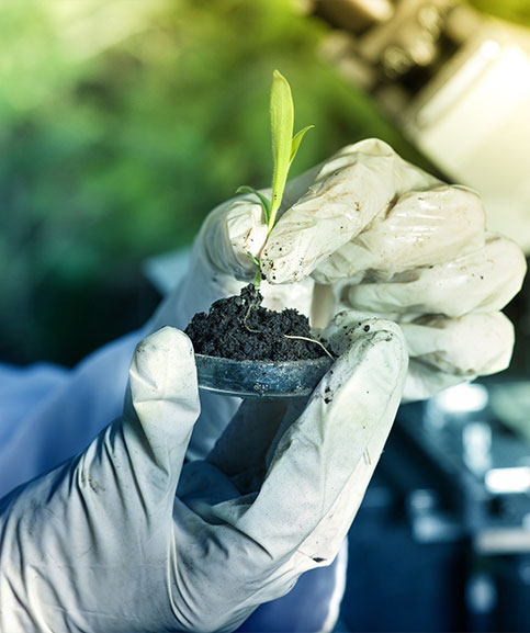 Post Graduate Diploma in Environment, Health