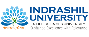 Career - Indrashil University